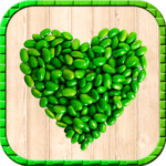 logo app healthy food