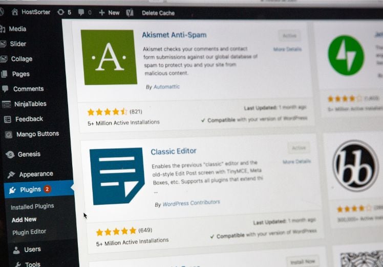 Screenshot of plugins on WordPress website Screenshot of plugins on WordPress website