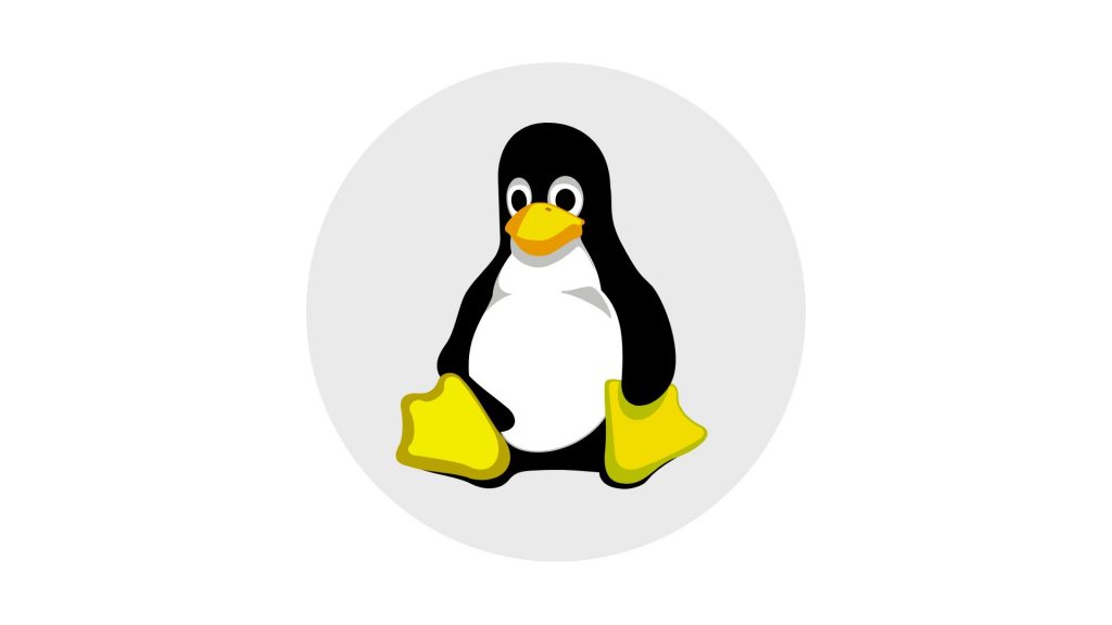 lenguaje linux